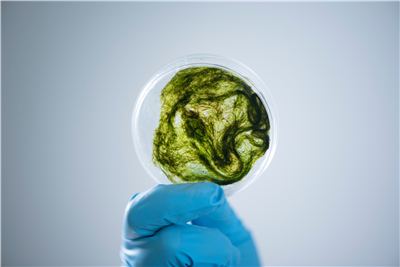 资源环境微生物研究